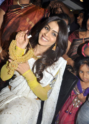 Actress Genelia In White Saree Photos Gallery