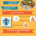   Facts to Know about Camel Spider