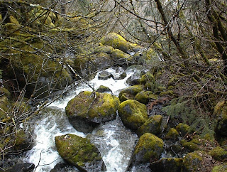 Juneau, AK, May 2007