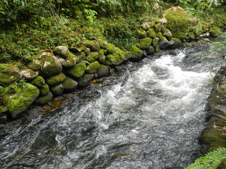 Encanados Intervales Ribeirão Grande