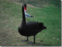 DSCF0757