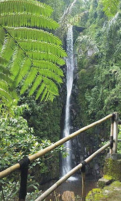 Waterfall Parang Ijo for Silence Seekers