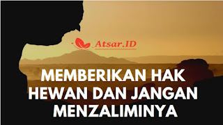 Memberikan Hak Hewan dan Jangan Menzaliminya