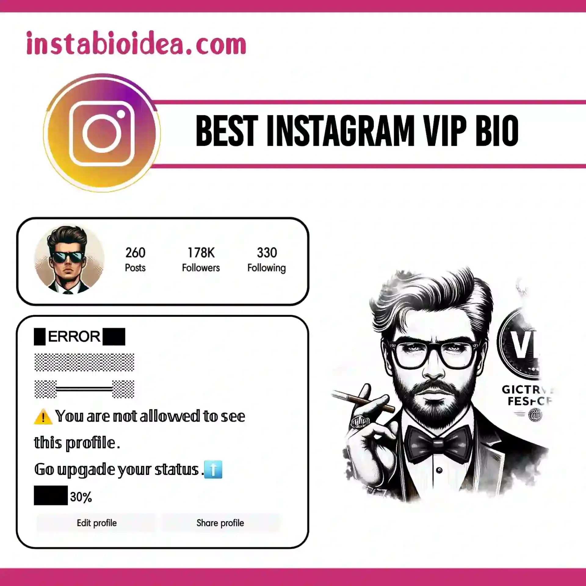 best instagram vip bio 2024 image