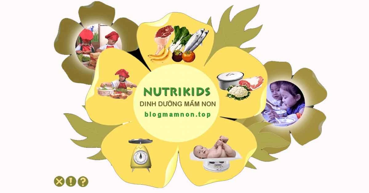 Mua phần mềm nutrikids 1.6 - Cách cài đặt phần mềm Nutrikids Chi tiết