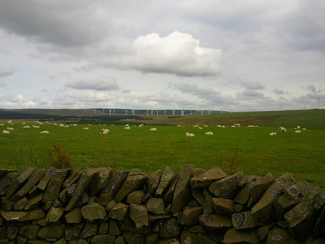 Hills with sheep and wind turbines