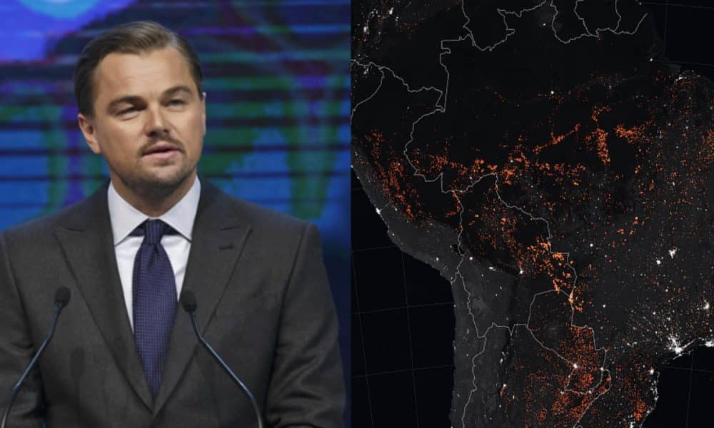 Leonardo DiCaprio Pledges $5 Million To Save Amazon Rainforest