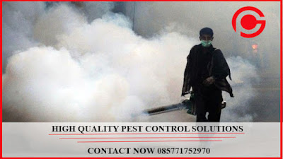 Call : 085771752970 Jasa Fogging Nyamuk di Bekasi 