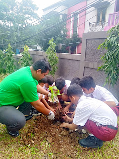 penanaman pohon kembali