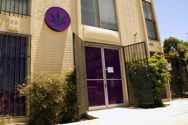  http://www.purpleleafla.com