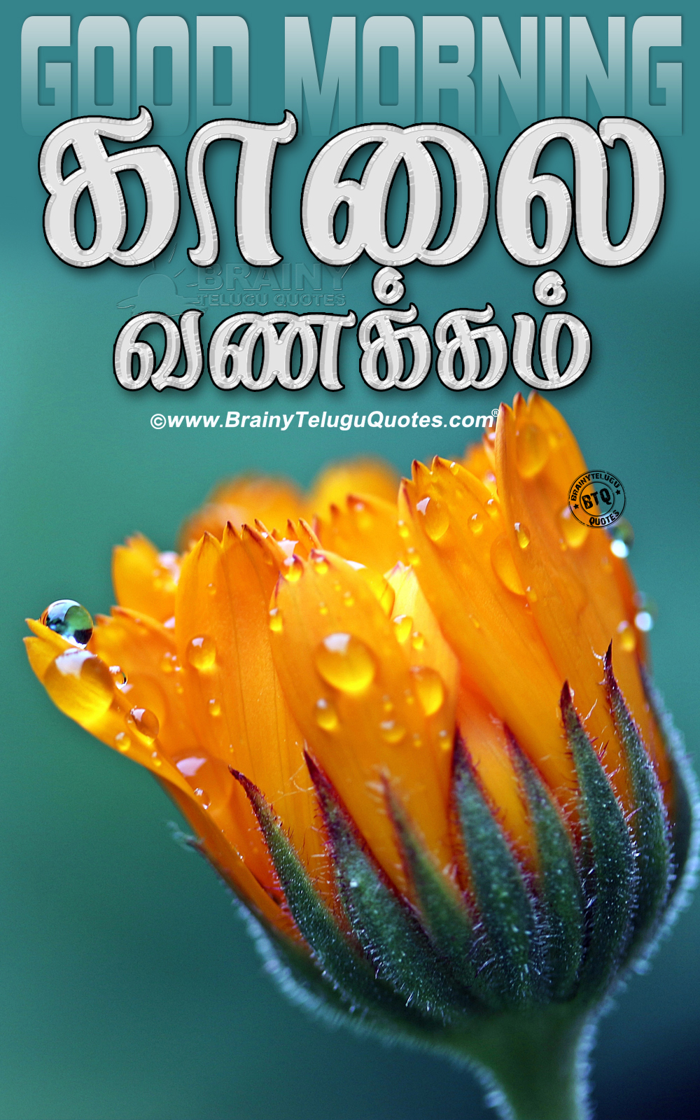 Tamil Language Kalai Vanakkam Good Morning Images In Tamil ...