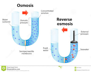 Osmose 