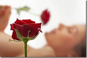 Rosas (5)