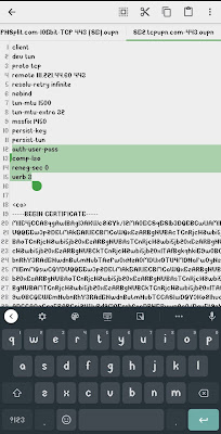 config openvpn topping ig by u