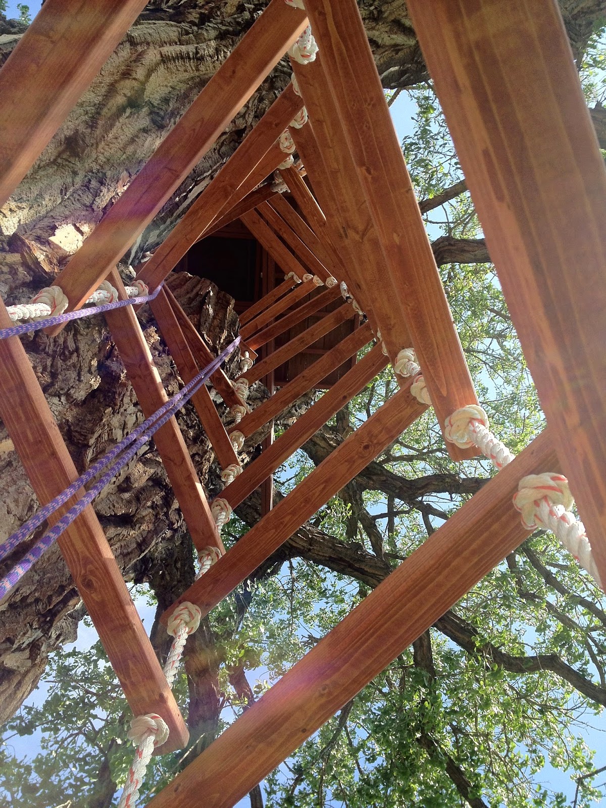 The Treehouser: Part 16: Hanging The Treehouse Rope Ladder