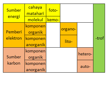 Metabolisme