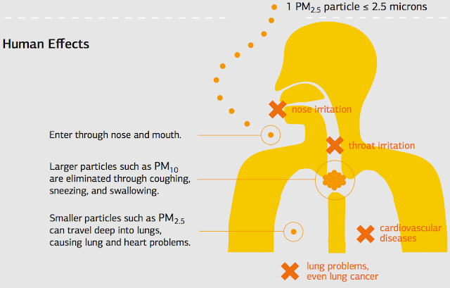Effects of Air pollution showing impact on heart, lungs and other body parts
