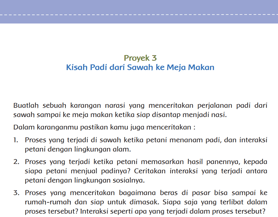 Kunci Jawaban Karyaku Prestasiku Proyek 3 Kisah Padi dari Sawah ke Meja Makan Semester 1 www.simplenews.me