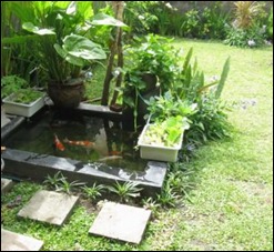 gambar-kolam-ikan-hias-terbaru-rumah-minimalis