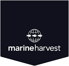 http://www.marineharvest.com/about/news-and-media/news/strong-performance-in-fourth-quarter-for-marine-harvest/