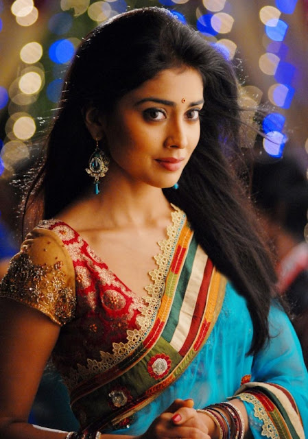 Tamil actress Shreya latest photos in saree 2015