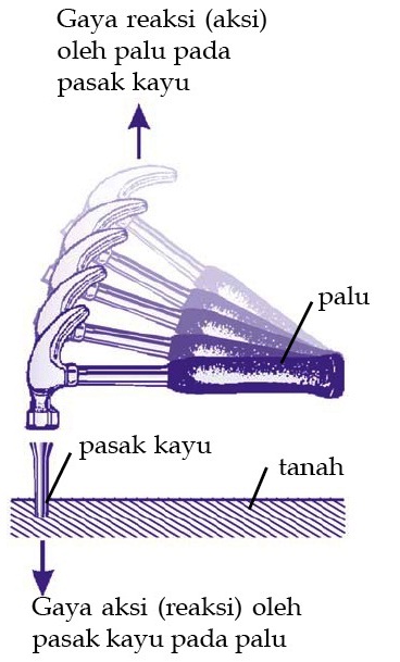 Hukum Newton, Berat, Gaya Normal, Tegangan Tali, Gaya 