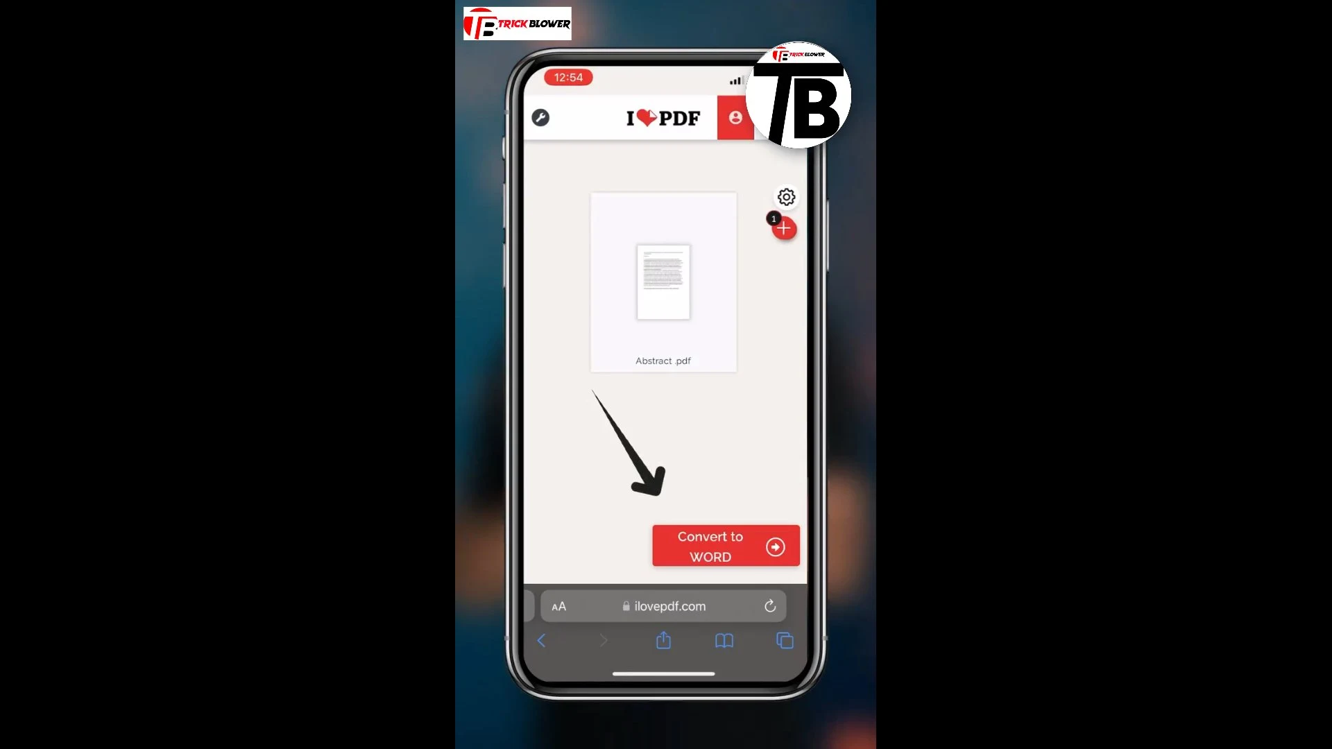 www.trickblower.com