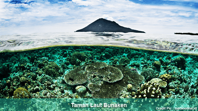 Rekomendasi Tempat Wisata Taman Laut di Indonesia
