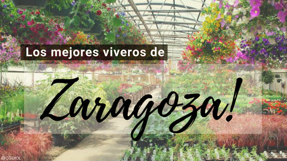 plantas online zaragoza