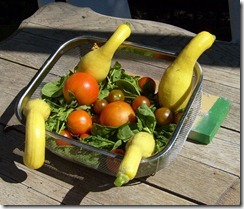lunch before