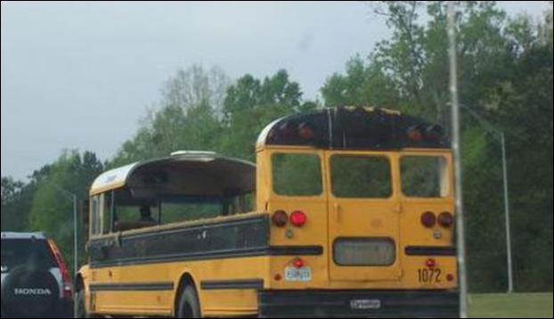 strange yellow school buses