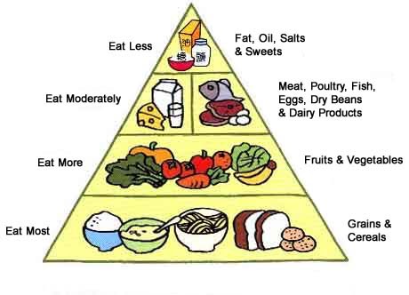 C.E.I.P. Sancho II. 1º y 2º: THE FOOD PYRAMID