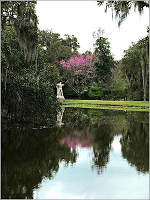 March 11, 2019 Having a great day at Brookgreen Gardens with my family.