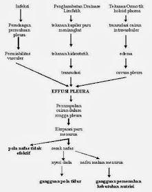Pathway PENDAHULUAN EFUSI PLEURA