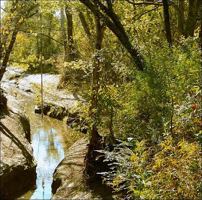 Shumpert on The Above Scene Of Boguegaba Creek Was Photographed From The Shumpert