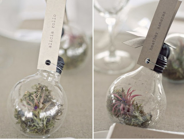 awesome-homemade-wedding-favor-ideas-light-bulb-and-plant