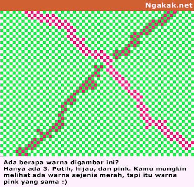 Kumpulan Foto Ilusi Mata yang Menakjubkan ~ angkatigabelas