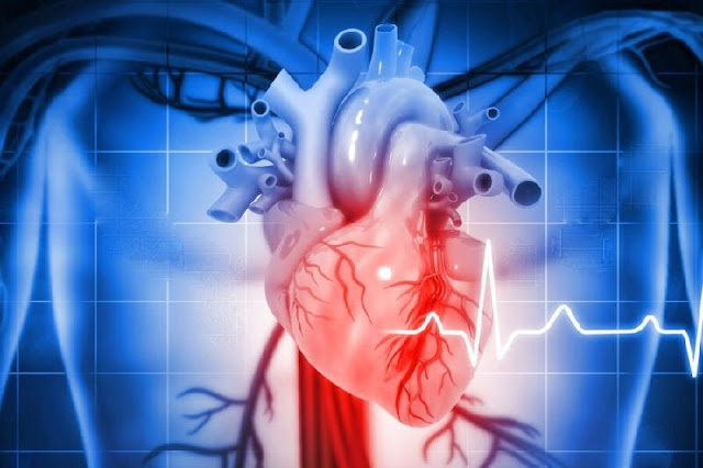 La regeneración del corazón: Avances científicos inspirados en el pez cebra para curar enfermedades cardiovasculares