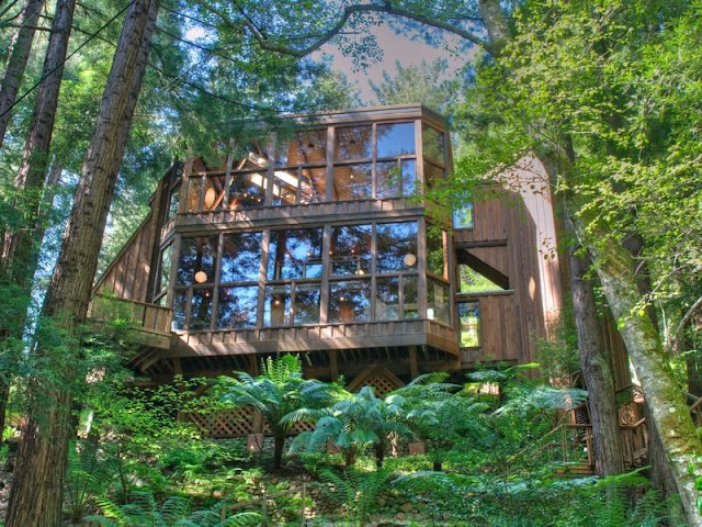 Photo of tree house in the forest during the day