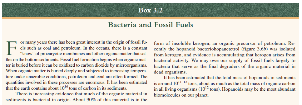 Bacteria and Fossil Fuels