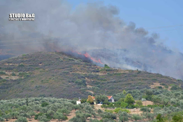 Πυρκαγιά στην περιοχή του Αγίου Δημητρίου (Μετόχι) Αργολίδας