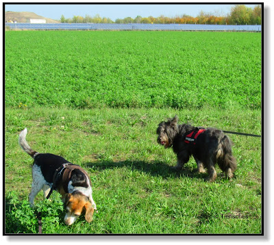 Emma und Lotte