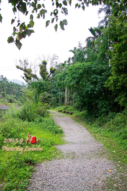 [雲林古坑景點] 華山文學步道