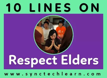 10 lines on respect elders