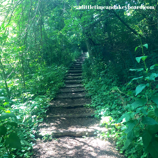 Rustic stairway down to the Lake Michigan Shoreline at Schlitz Audubon in Milwaukee, Wisconsin