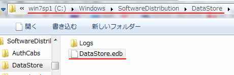 How to slim down a bloated DataStore folder