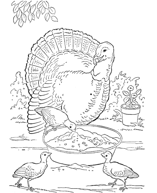 turkey coloring pages coloring.filminspector.com