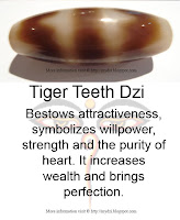 DZI Tiger Teeth