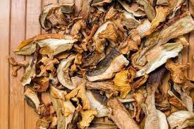 Dried Mushroom Supplier In Nighoj