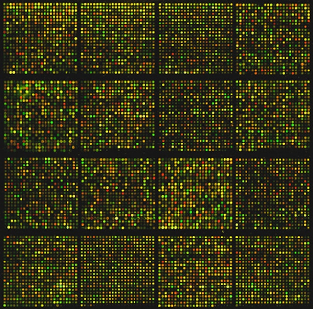 Gene Therapy